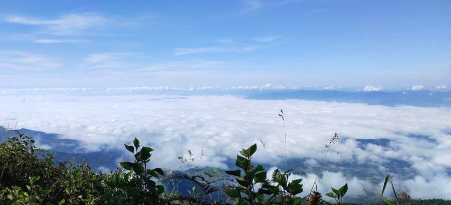 Chiang Mai: Doi Inthanon Park Day Trip with Kiw Mae Pan Hike - Who should book, and who should rethink it