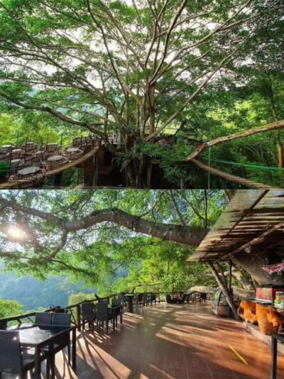 Chiang Mai: The Giant Café & Mae Kampong Village Day Trip - The waterfall stop at Mae Kampong: short walk, real forest feel