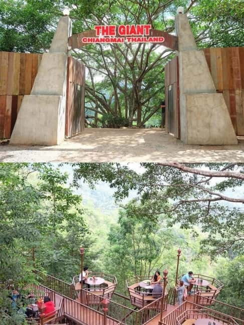 Chiang Mai: The Giant Café & Mae Kampong Village Day Trip - The driver/escort makes the difference