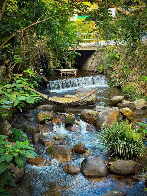 Chiang Mai: The Giant Café & Mae Kampong Village Day Trip - How active is it, really?