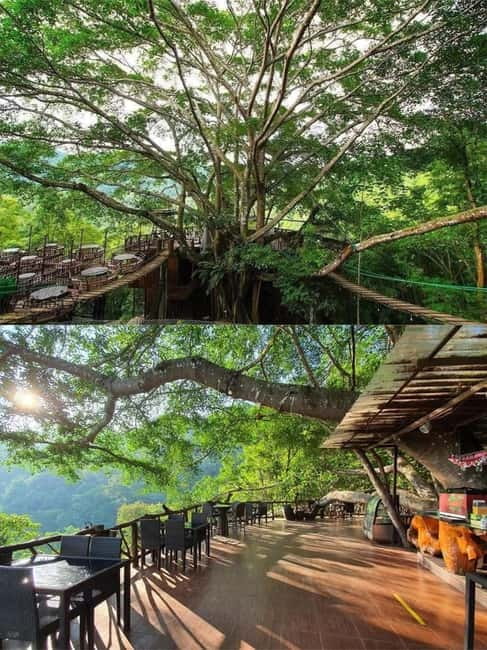 Chiang Mai: The Giant Café & Mae Kampong Village Day Trip - The waterfall stop at Mae Kampong: short walk, real forest feel