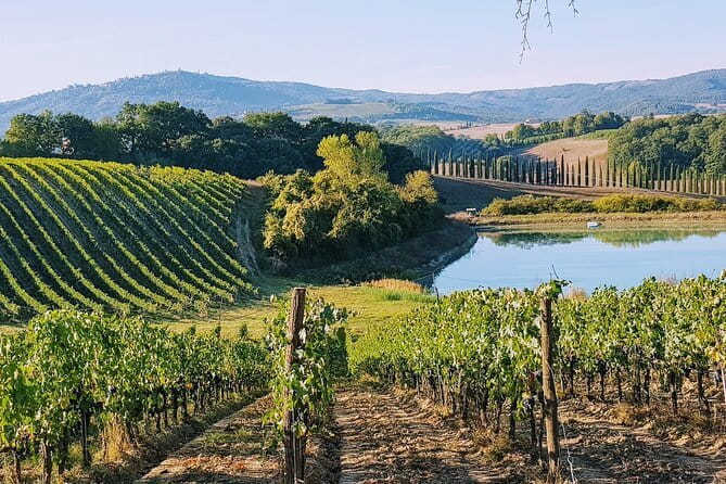 Chianti Wine Tastings Day Trip at Sunset from Florence - Highlights you can plan around
