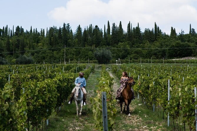 Chianti Wine Tastings Day Trip at Sunset from Florence - Who this Chianti sunset tour is best for