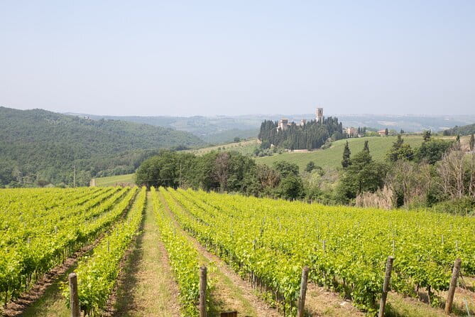 Chianti Wine Tastings Day Trip at Sunset from Florence - Two winery estates: what you should expect when the glasses come out
