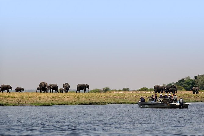 Chobe Full Day Trip From Victoria Falls - Chobe National Park from Victoria Falls: the 10-hour reality check