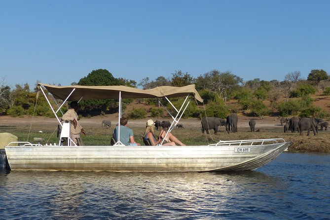 Chobe Full Day Trip From Victoria Falls - Morning jeep drive inside Chobe: elephants, big cats, and the pacing question