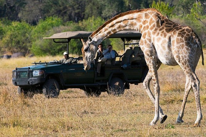 Chobe Full Day Trip From Victoria Falls - Chobe River cruise: the best place for close-up elephants and hippos