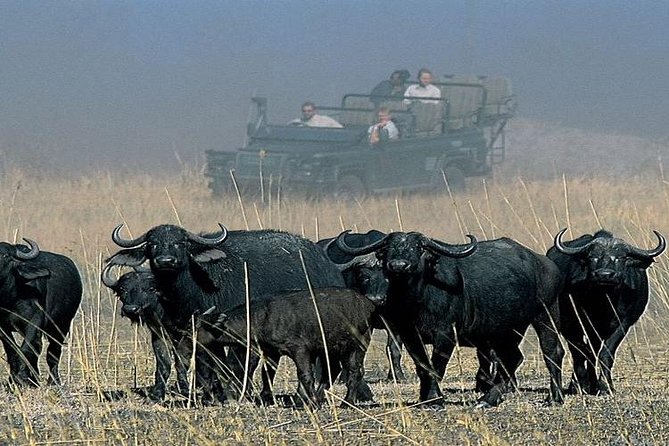 Chobe Full Day Trip From Victoria Falls - Guides and drivers: where the experience is won or lost