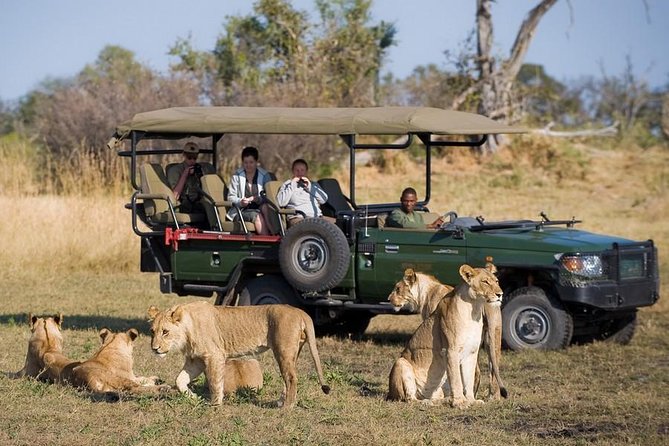 Chobe Full Day Trip From Victoria Falls - Price and value: what $164 buys you in real terms