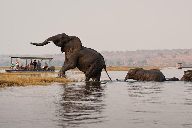 Chobe Full Day Trip From Victoria Falls - Getting to Botswana (and back): passports, visas, and border timing