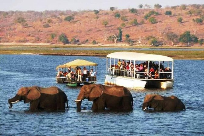 Chobe Safari Day Trip From Livingstone - Entering Chobe: Why This One-Day Safari Makes Sense From Livingstone