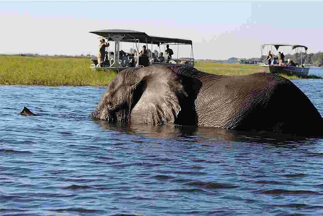 Chobe Safari Day Trip From Livingstone - Timing and How Much of the Day Is Actually Safari
