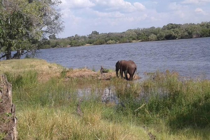 Chobe Safari Day Trip From Livingstone - Lunch Break That Actually Refuels You