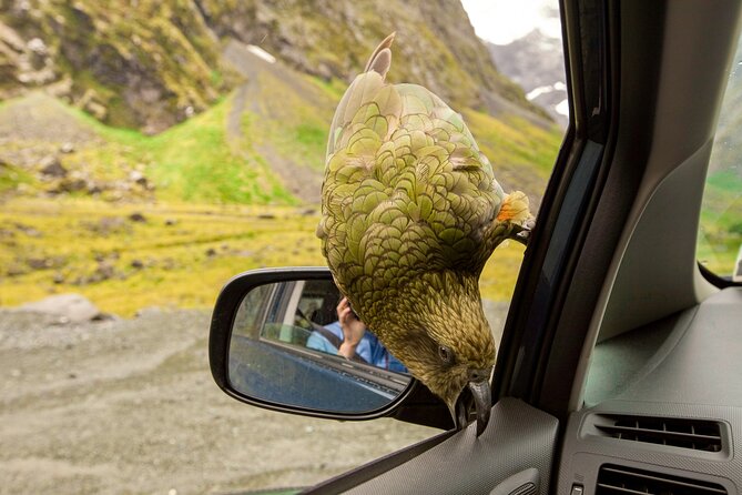 Christchurch to Arthur's Pass Day Tour: TranzAlpine Train & Lunch - Castle Hill limestone: the stop I’d slow down for