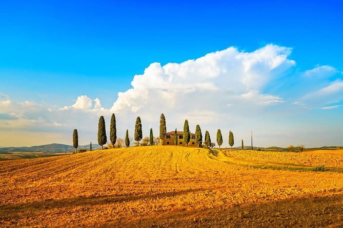Cinque Terre and Pisa Full Day Tour from Florence - Monterosso al Mare: beach time, food stops, and how to manage it