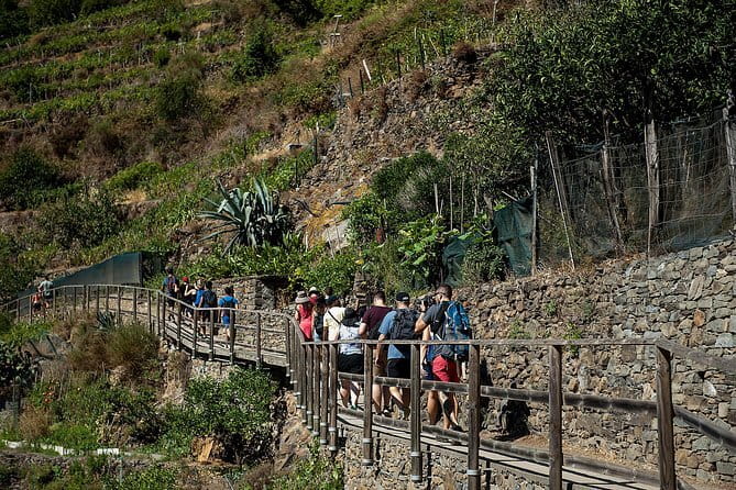 Cinque Terre Day Trip with Optional Hiking or Pisa - Cinque Terre by coach from Florence: an early start with built-in context