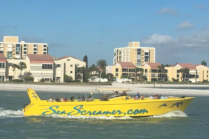 Clearwater Beach Day Trip from Orlando with Upgrade Options - Clearwater Marine Aquarium and Winter the dolphin: calmer than the boats