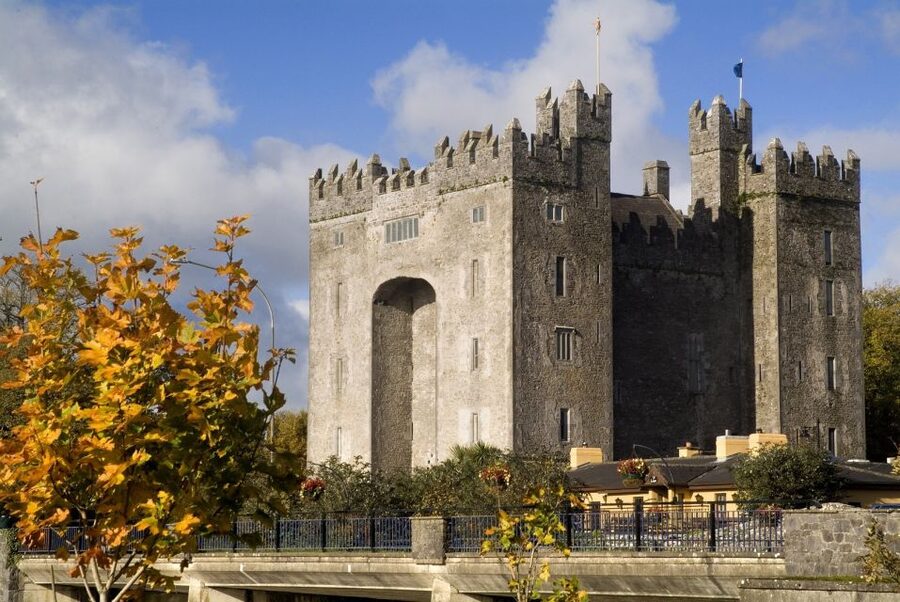 Cliffs of Moher and More: Full-Day Tour from Cork - Key things I’d plan around