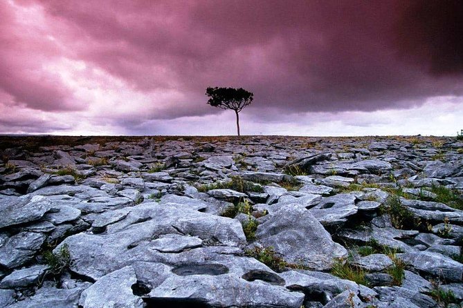 Cliffs of Moher, Burren and Wild Atlantic Way day tour from Galway city - From Merchants Road to Wild Atlantic Way Roads