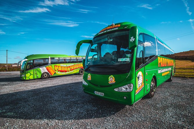 Cliffs of Moher Day Tour from Limerick: Wild Atlantic Way - Limerick morning: King John’s Castle, the Shannon, and then the west coast