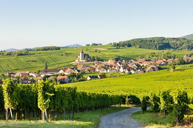 Colmar, Medieval Village & Castle Small Group from Strasbourg - Price and value: $241.86 for guide time, transport, and a real castle entrance