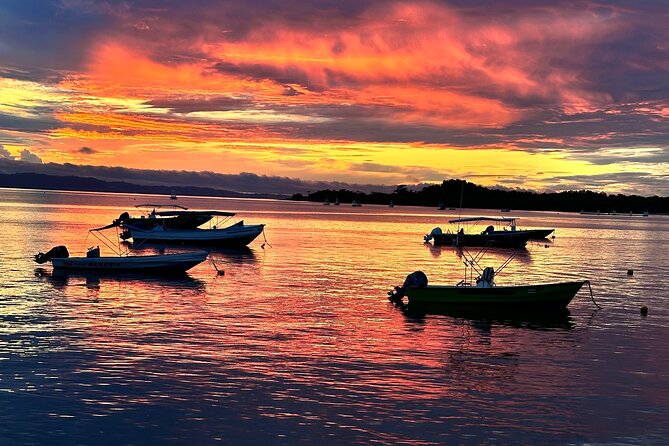 Corcovado National Park: Sirena Day Tour From Puerto Jimenez - The Lunch Timing at Sirena Station (and Why It’s Not Just Food)
