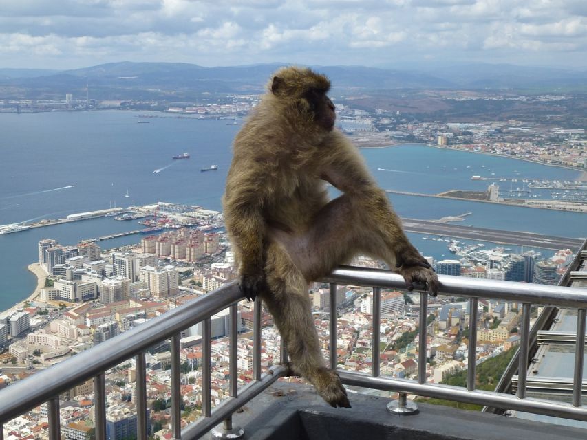 Costa del Sol: Gibraltar Day Trip with Optional Rock Tour - Customs and what to bring: the basics that keep the day smooth