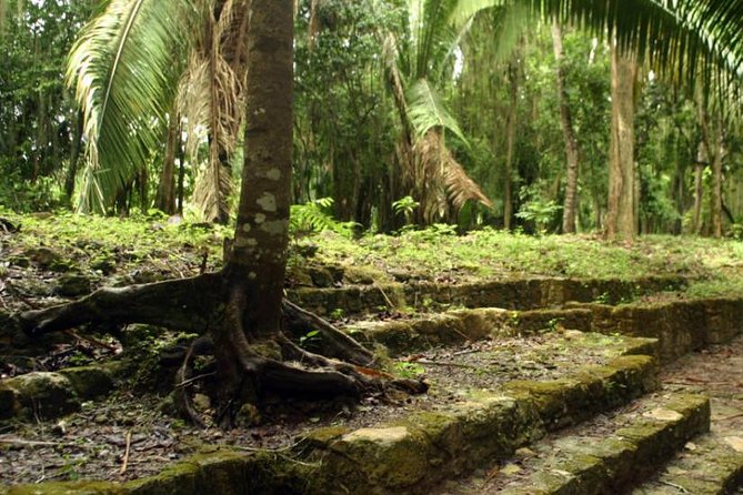Costa Maya Shore Excursion: Chacchoben Day Trip - Costa Maya to Chacchoben: the logistics that make the day work