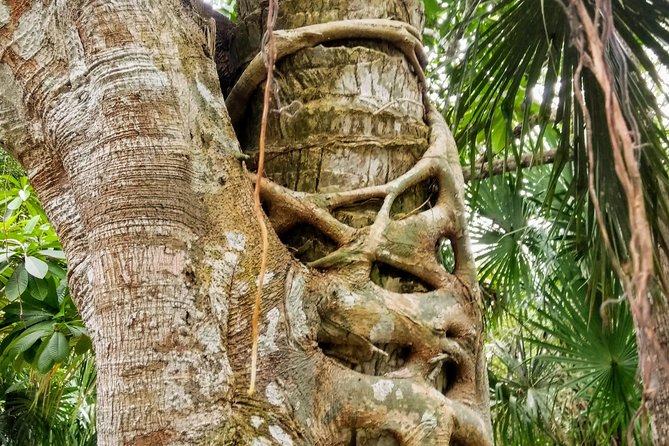 Costa Maya Shore Excursion: Chacchoben Day Trip - Timing at the ruins: what “1 hour 30 minutes” feels like