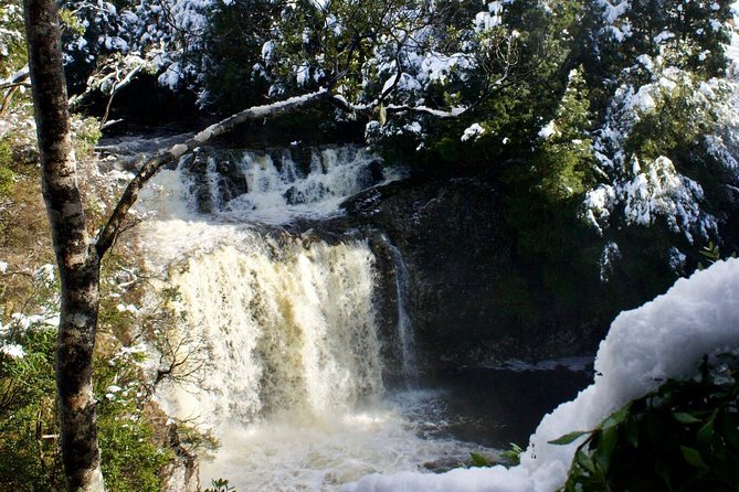 Cradle Mountain Day Tour from Launceston Including Lunch - Cradle Mountain National Park: what you’re really signing up for