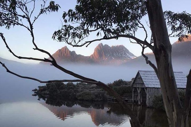 Cradle Mountain Day Tour from Launceston Including Lunch - Lunch inside the park day: what’s in it and how to handle dietary needs