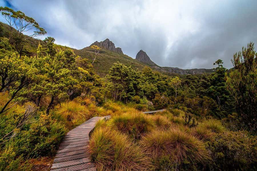 Cradle Mountain: Day Trip from Launceston with Lunch - How the Launceston to Cradle Mountain day really starts