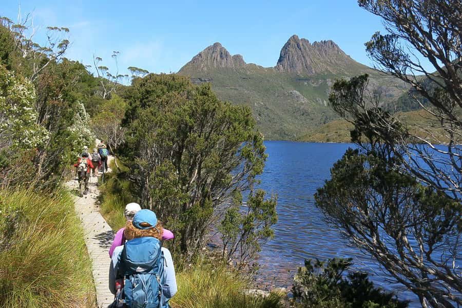 Cradle Mountain: Day Trip from Launceston with Lunch - Cradle Mountain-Lake St Clair: what 4.5 hours accomplishes