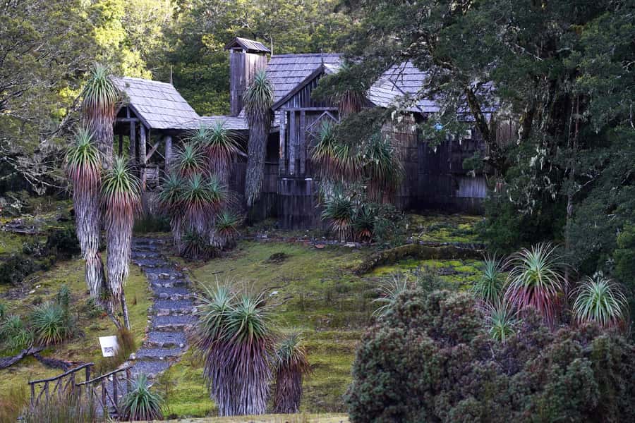 Cradle Mountain: Day Trip from Launceston with Lunch - Sheffield, the Town of Murals: the perfect mid-trip palate cleanser
