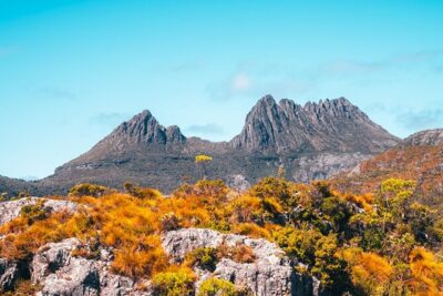 Cradle Mountain National Park Day Tour from Launceston - Getting picked up in Launceston at 7:30am