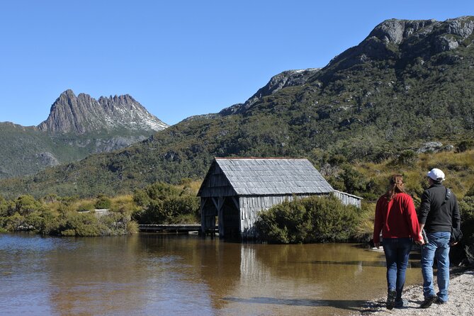 Cradle Mountain National Park Day Tour from Launceston - Ashgrove Cheese Farm: what you get from the dairy stop