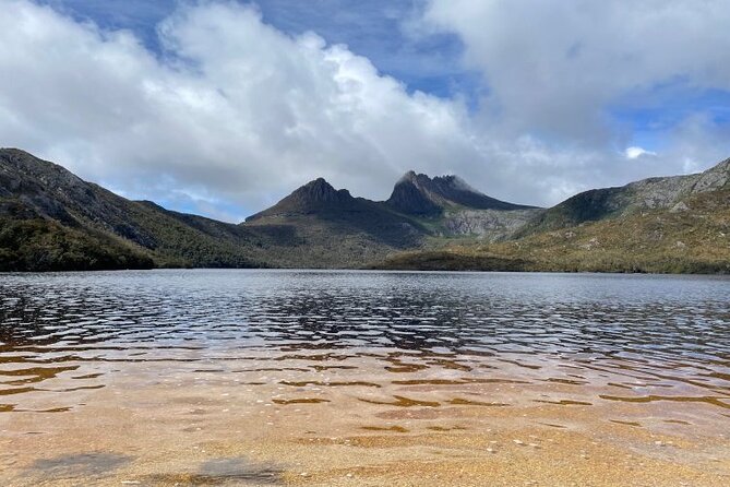 Cradle Mountain National Park Day Tour from Launceston - Weindorfers Forest walk: a smaller nature moment