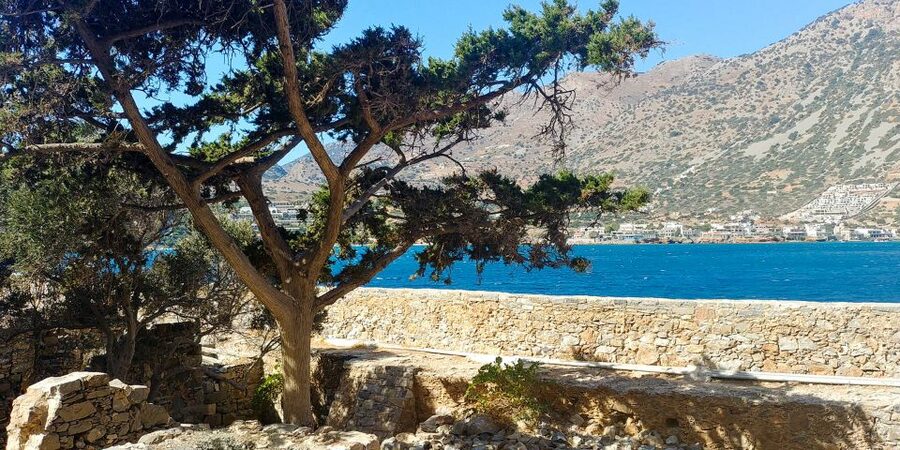 Crete: Day Trip to Agios Nikolaos and Spinalonga Island - Spinalonga Island: fort history, leprosy isolation, and what to actually look for