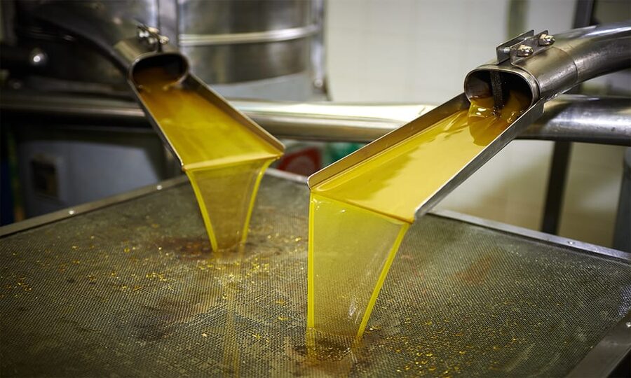 Crete: Lasithi Plateau & Knossos Palace Day Trip - Avdou olive oil factory tour: tasting the island’s everyday luxury