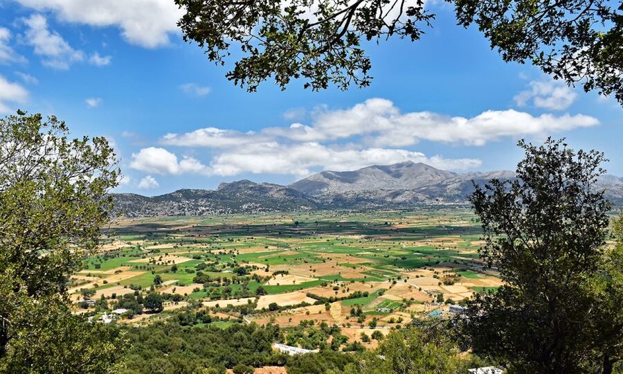 Crete: Lasithi Plateau & Knossos Palace Day Trip - Price and entry fees: what $50.82 really buys you