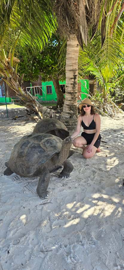 Curieuse and St. Pierre Islands Day Trip with BBQ Lunch - Price and value for $85 (plus the one extra fee)