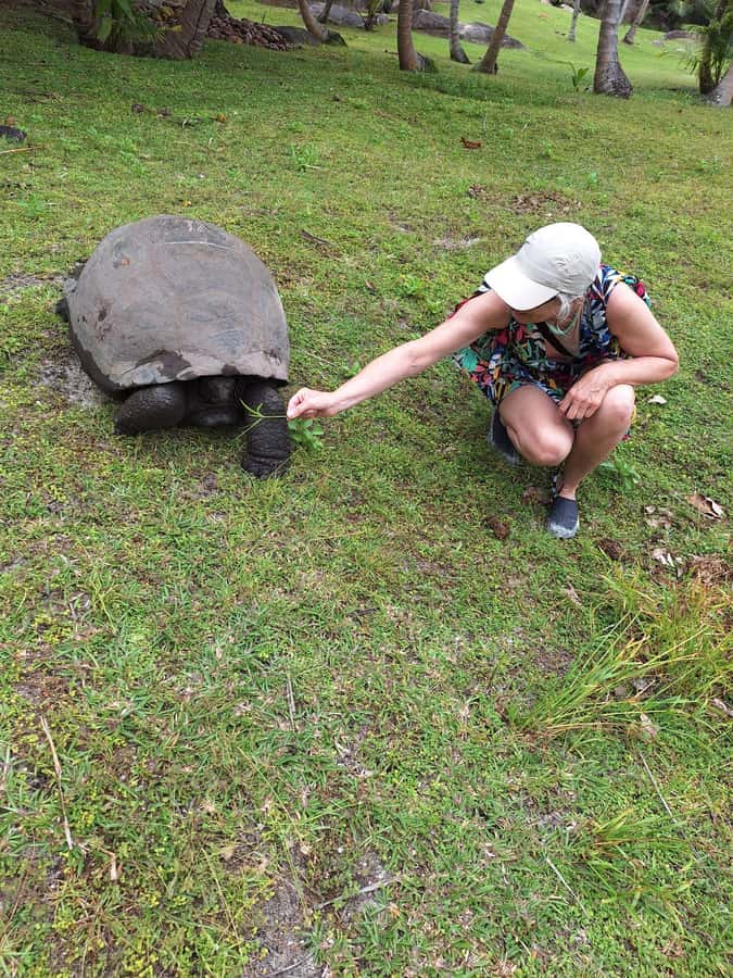 Curieuse and St Pierre Snorkeling Half-Day Trip No BBQ Lunch - FAQ