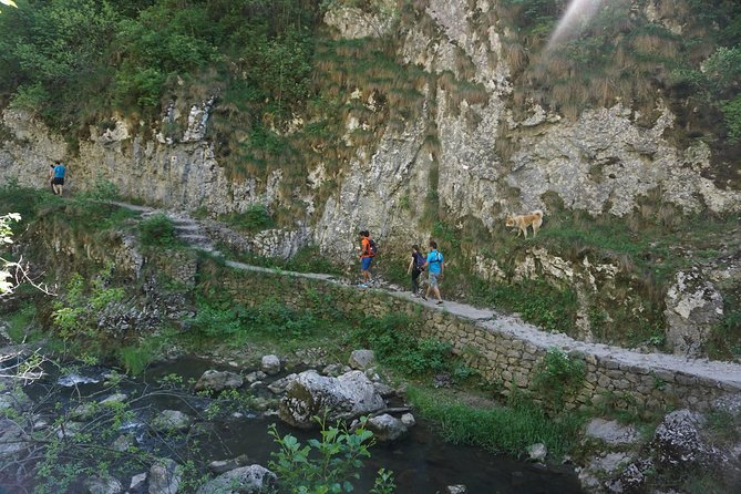 Curly Tour - Day trip from Cluj :) - Price and what you really get for $107.68