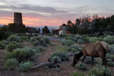Custom Grand Canyon Day Trip - The 7:00am Pickup and 13-Hour Pace You Should Plan For