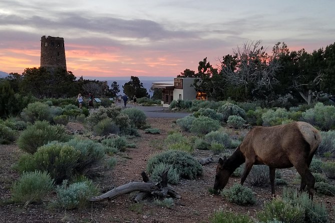 Custom Grand Canyon Day Trip - The 7:00am Pickup and 13-Hour Pace You Should Plan For