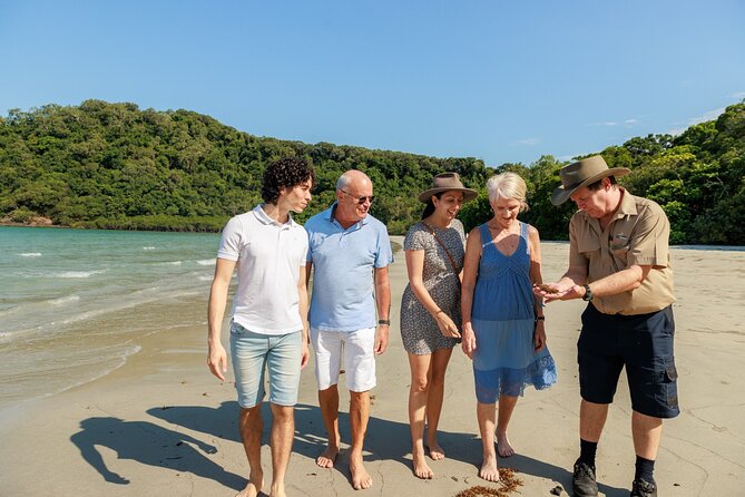 Daintree Rainforest and Cape Tribulation Day Tour from Cairns - The Big Picture: What You’re Really Buying for $211.57