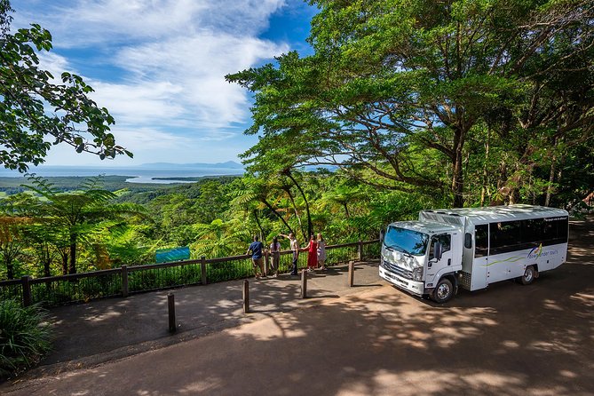 Daintree Rainforest and Cape Tribulation Day Tour from Cairns - Lunch in the Rainforest: The Part You’ll Actually Remember