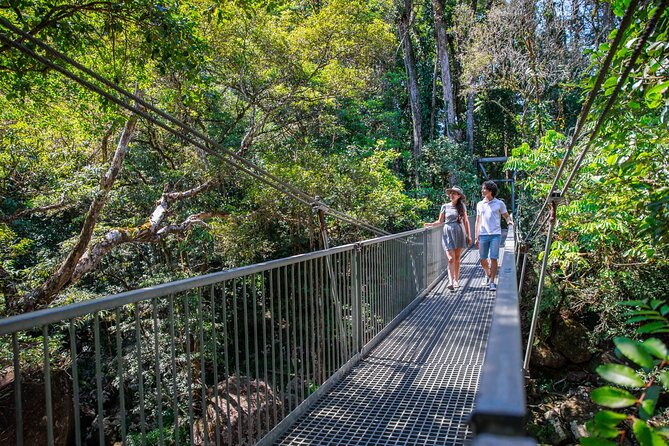 Daintree Rainforest and Cape Tribulation Day Tour from Cairns - Cape Tribulation Beach: The Rainforest Meets the Reef Moment