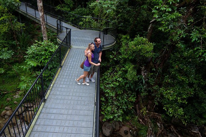 Daintree Rainforest and Cape Tribulation Day Tour from Cairns - Daintree Ice Cream Company: The Sweet Stop That Lands