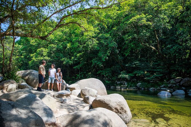 Daintree Rainforest and Cape Tribulation Day Tour from Cairns - Mossman Gorge Cultural Centre: Where the Daintree Story Starts